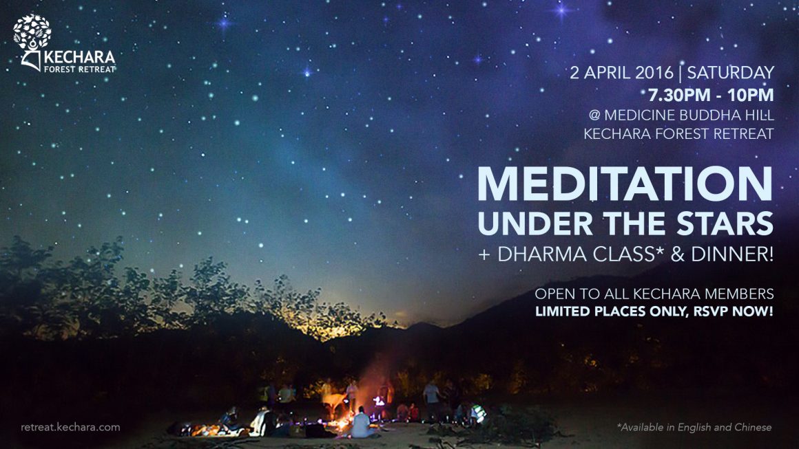 Meditation Under The Stars