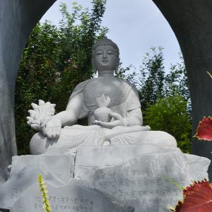 Care for Medicine Buddha
