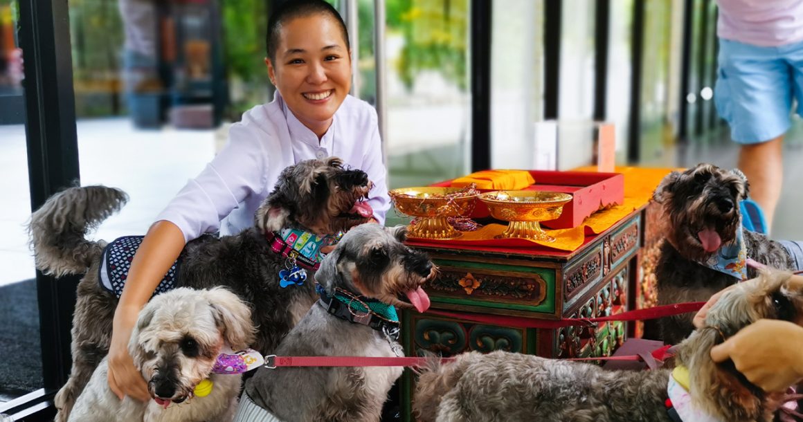 Spirituality & Pets Spirituality & Pets